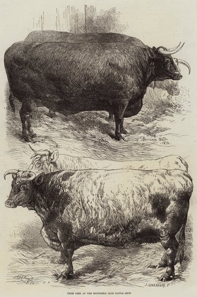 Prize Oxen at the Smithfield Club Cattle Show by Harrison William Weir